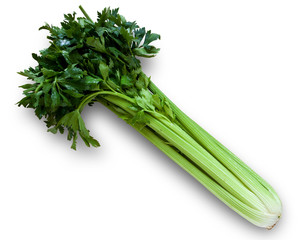 sedano verde isolato sfondo bianco