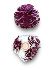 radicchio rosso isolato sfondo bianco