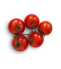 pomodoro isolato sfondo bianco
