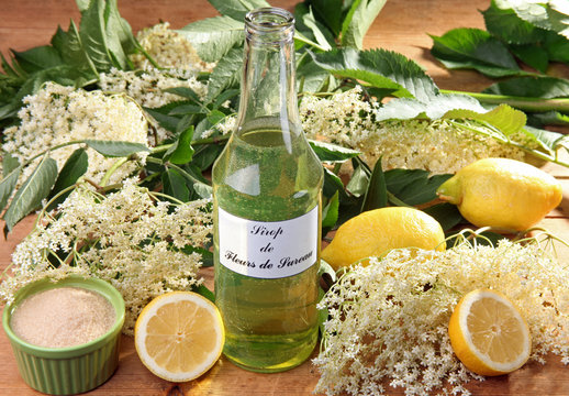 sureau, sirop de fleurs