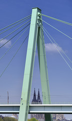 Fototapeta premium Köln-Rhein #60