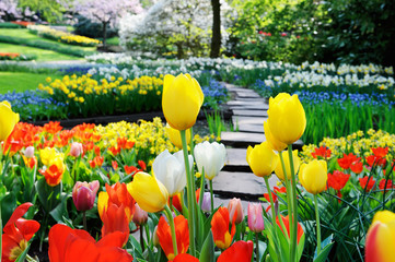 Pathway in spring park © Symbiot