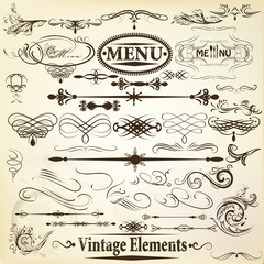 Collection of vintage  vector calligraphic design elements