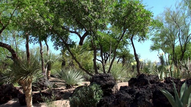 Ethel M Botanical Cactus Gardens
