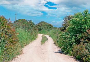 white clouds and country road