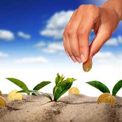 Plant and money.