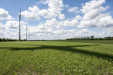 Wind power field on summer day with rotor shadow
