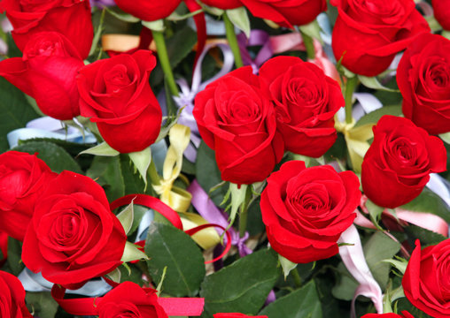 incredible bunch of lots of red roses in tribute to women and to