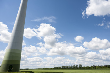 Wind power field on summer day