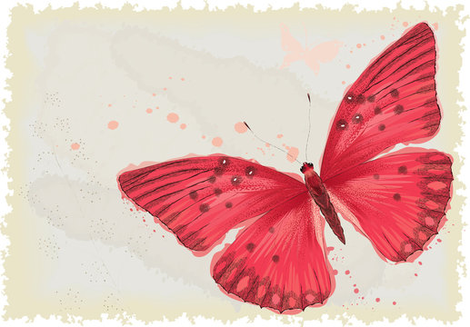 Background with red butterfly in watercolor technique