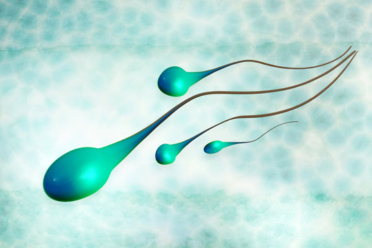 Spermien - 3D Render