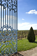 Saint-Emilion, vin, château, winery, Bordeaux, bordelais