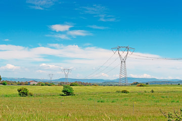 pylons in the grass