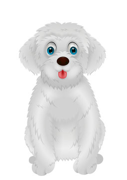 Cute white dog cartoon