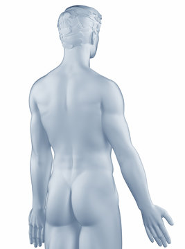Man in anatomical position isolated