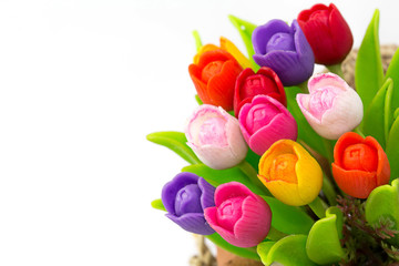 Fototapeta na wymiar Colorful tulip