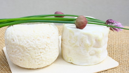 petits crotins de chèvre