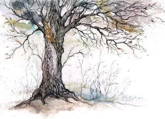 Photo sur Plexiglas Peintures vieil arbre