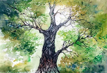 Photo sur Plexiglas Peintures arbre vert
