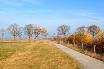 Fototapeta na wymiar bike road in autumn sunny day