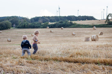 Two little toddler boys playing on straw field