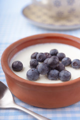 Yogurt with blueberry