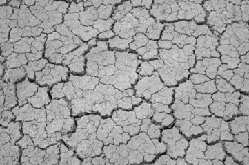 Dry soil background