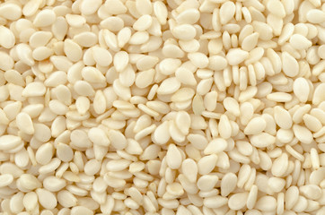 Close up of white sesame seeds
