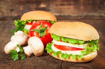 vegetarian sandwich with fresh tomatoes and cheese