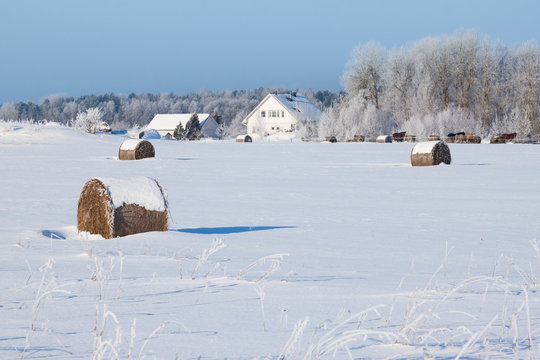 Farm with a barn and horses in winter