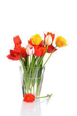 tulips in a glass vase