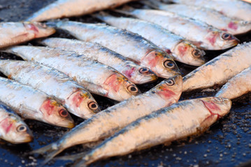 SARDINAS ASADAS FRESCAS, A LA PLANCHA. PRIMER PLANO