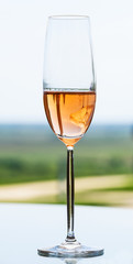 A glass of white  wine glass on a table against vineyard in summ