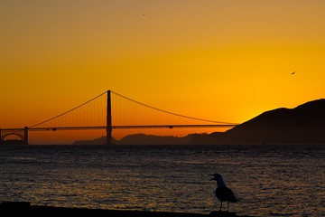 Golden Gate Sunset