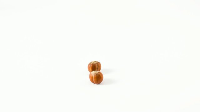 stop motion nocciole