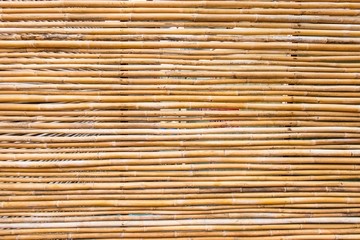 Light brown thin bamboo stick background