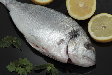 bream