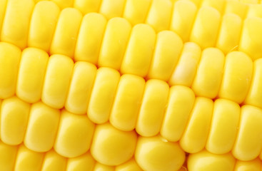 corn close up