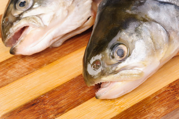Salmon's heads on  cutting board, isolated on white background