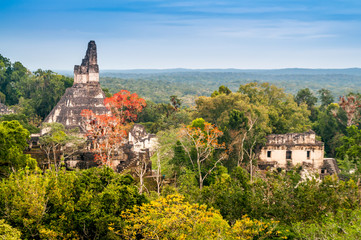 Tikal Temple