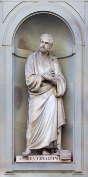 stone statue of Andrea Cesalpino