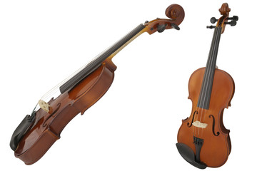 violin