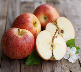 Harvest time, apples