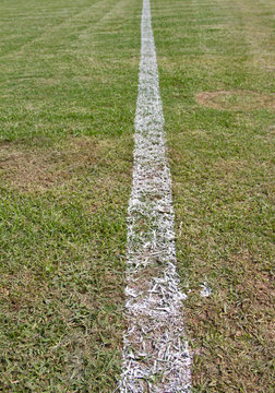 White line on soccer field grass