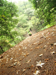 Steel bridge in the mountains