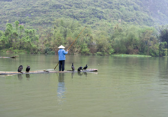A Chinese fishermen and cormorants