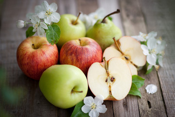 Harvest time, apples