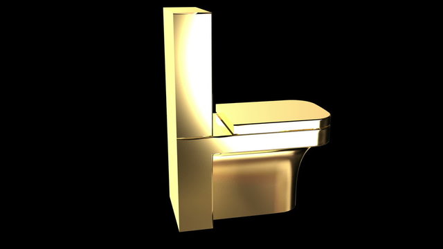 Gold flush toilet