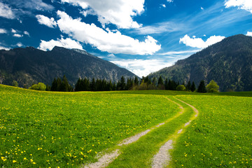 Alm in den bayerischen Alpen