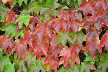 autunno